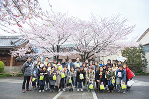 ゴールの安養院は満開の桜が出迎えてくれました。写真は11時スタート組。